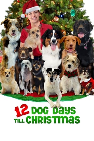 12 Dog Days Till Christmas watch 12 Dog Days Till Christmas