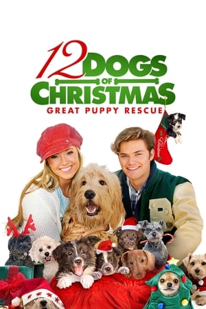 12 Dogs of Christmas: Great Puppy Rescue watch 12 Dogs of Christmas: Great Puppy Rescue