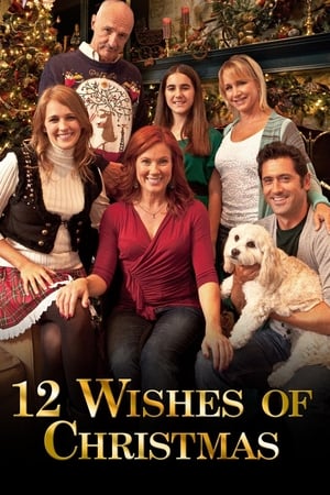 12 Wishes of Christmas watch 12 Wishes of Christmas