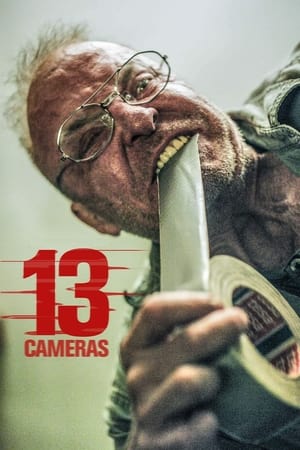 watch 13 Cameras