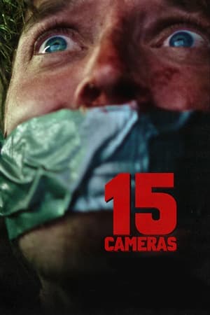 15 Cameras watch 15 Cameras
