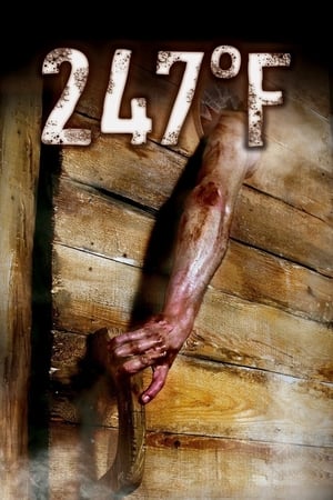 247°F watch 247°F