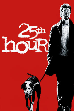 watch 25th Hour