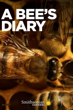 A Bee's Diary watch A Bee's Diary