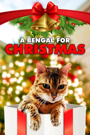 A Bengal for Christmas watch A Bengal for Christmas