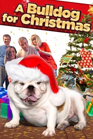 A Bulldog for Christmas watch A Bulldog for Christmas