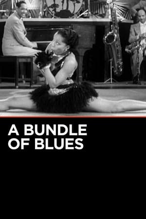 A Bundle of Blues watch A Bundle of Blues