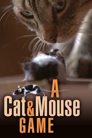 watch A Cat and Mouse Game