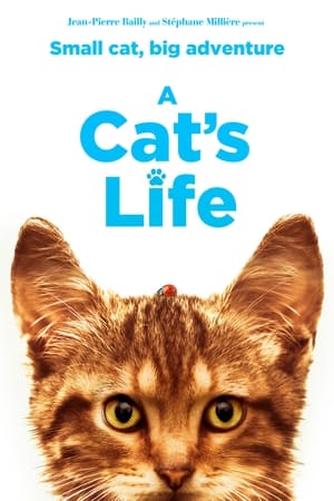 watch A Cat's Life