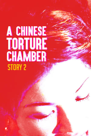 watch A Chinese Torture Chamber Story II