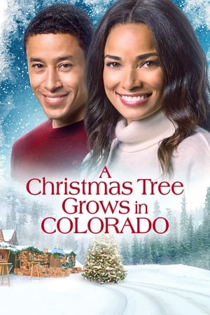 A Christmas Tree Grows in Colorado watch A Christmas Tree Grows in Colorado