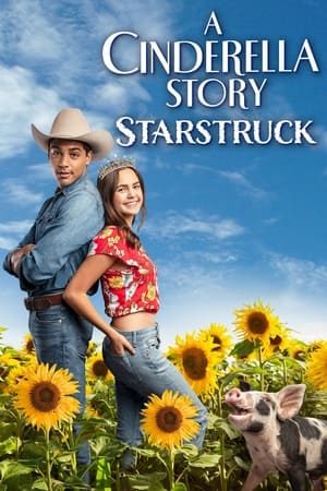 watch A Cinderella Story: Starstruck