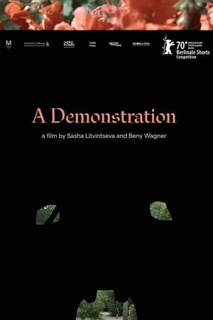 A Demonstration watch A Demonstration