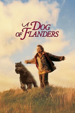 A Dog of Flanders watch A Dog of Flanders