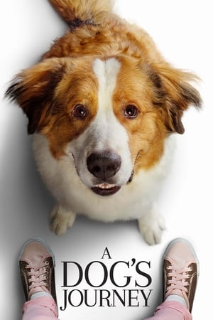 A Dog's Journey watch A Dog's Journey