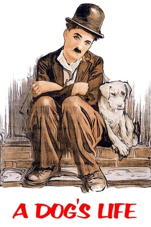 watch A Dog's Life