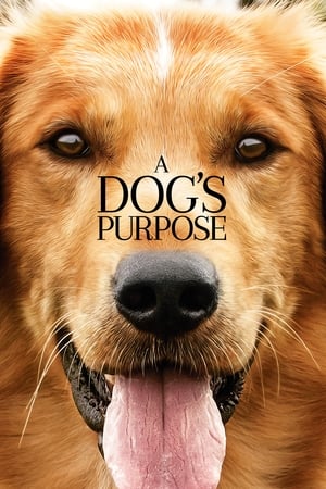 A Dog's Purpose watch A Dog's Purpose