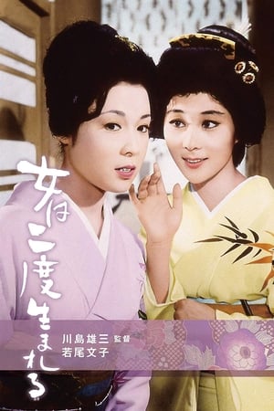 A Geisha's Diary watch A Geisha's Diary