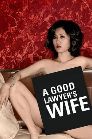 A Good Lawyer's Wife watch A Good Lawyer's Wife