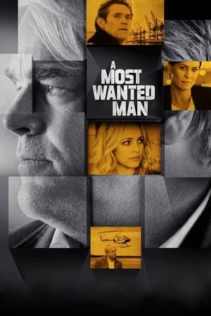 A Most Wanted Man watch A Most Wanted Man