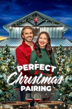 A Perfect Christmas Pairing watch A Perfect Christmas Pairing