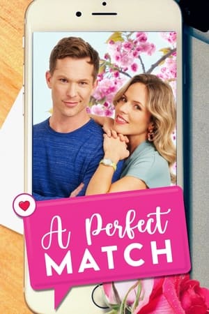 watch A Perfect Match