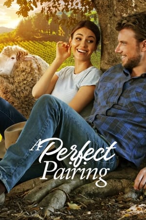 A Perfect Pairing watch A Perfect Pairing