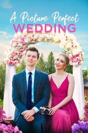A Picture Perfect Wedding watch A Picture Perfect Wedding