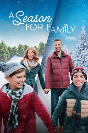 A Season for Family watch A Season for Family
