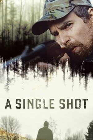 watch A Single Shot