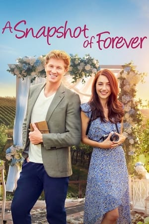 A Snapshot of Forever watch A Snapshot of Forever