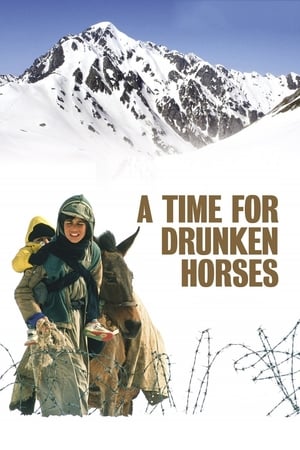 watch A Time for Drunken Horses
