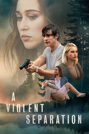 watch A Violent Separation