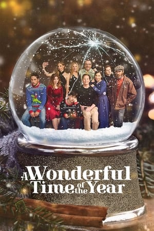 A Wonderful Time of the Year watch A Wonderful Time of the Year