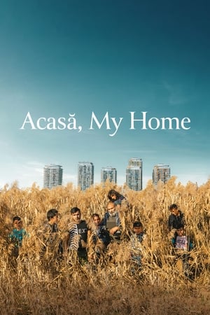 Acasă, My Home watch Acasă, My Home