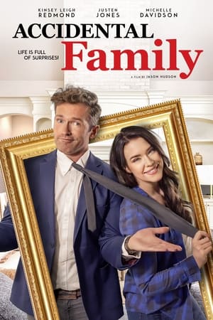 Accidental Family watch Accidental Family