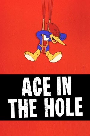 watch Ace in the Hole