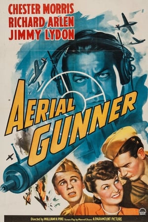 Aerial Gunner watch Aerial Gunner
