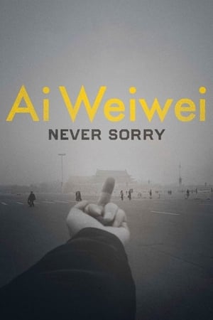 Ai Weiwei: Never Sorry watch Ai Weiwei: Never Sorry