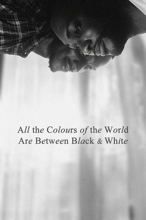 watch All the Colours of the World Are Between Black and White