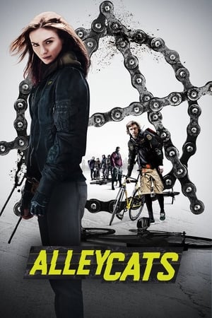 Alleycats watch Alleycats
