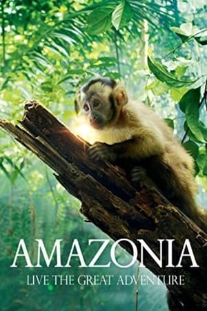 Amazonia watch Amazonia