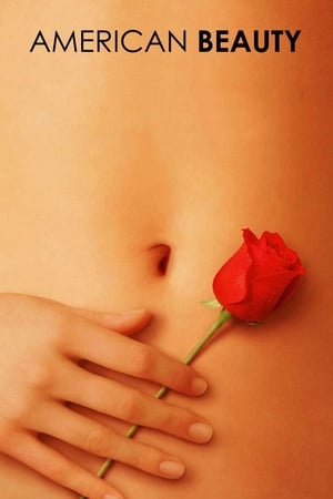 American Beauty watch American Beauty
