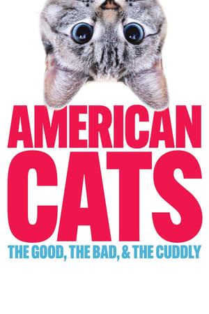 American Cats: The Good, the Bad, and the Cuddly watch American Cats: The Good, the Bad, and the Cuddly