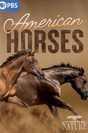 American Horses watch American Horses