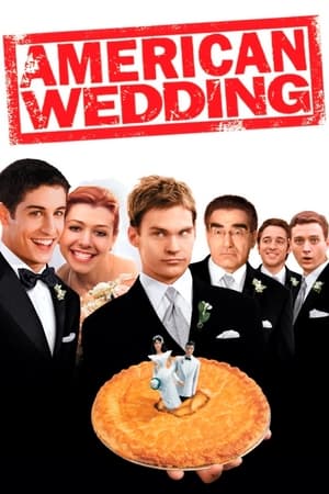 watch American Wedding