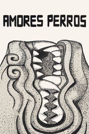 Amores Perros watch Amores Perros