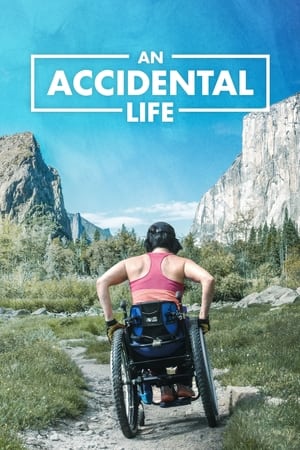 An Accidental Life watch An Accidental Life