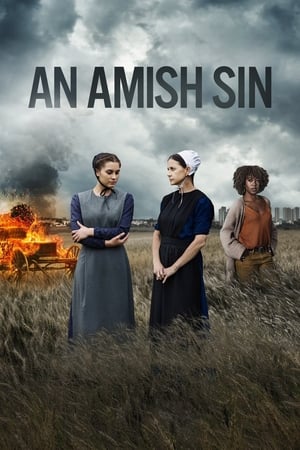 An Amish Sin watch An Amish Sin