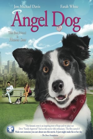 Angel Dog watch Angel Dog